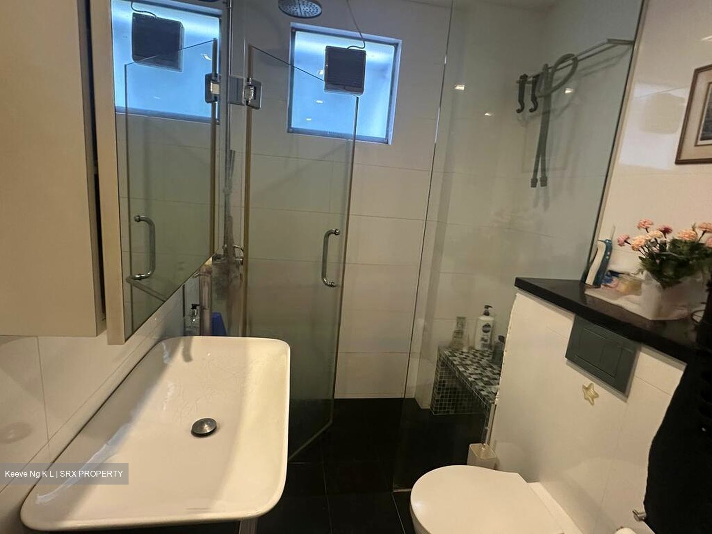 Holland Hill Park (D10), Condominium #464248641